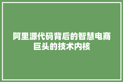 阿里源代码背后的智慧电商巨头的技术内核