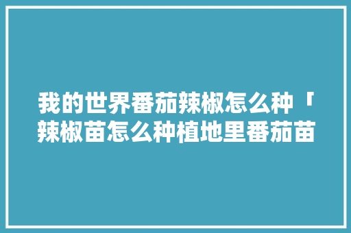 我的世界番茄辣椒怎么种「辣椒苗怎么种植地里番茄苗」 我的世界番茄辣椒怎么种「辣椒苗怎么种植地里番茄苗」 种植技巧