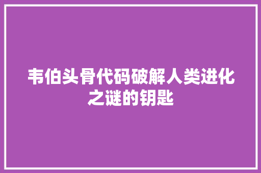 韦伯头骨代码破解人类进化之谜的钥匙