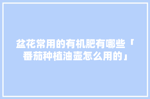 盆花常用的有机肥有哪些「番茄种植油壶怎么用的」 盆花常用的有机肥有哪些「番茄种植油壶怎么用的」 种植技巧