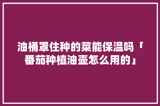油桶罩住种的菜能保温吗「番茄种植油壶怎么用的」 油桶罩住种的菜能保温吗「番茄种植油壶怎么用的」 植物种类