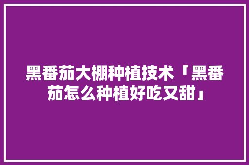 黑番茄大棚种植技术「黑番茄怎么种植好吃又甜」 黑番茄大棚种植技术「黑番茄怎么种植好吃又甜」 花朵知识