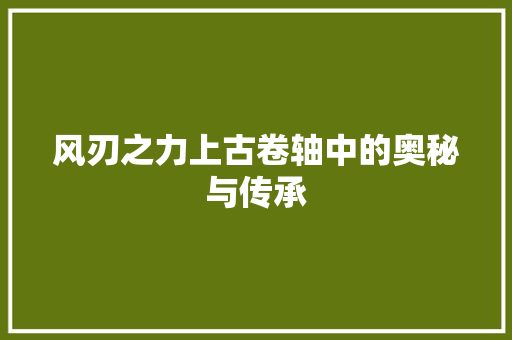 风刃之力上古卷轴中的奥秘与传承