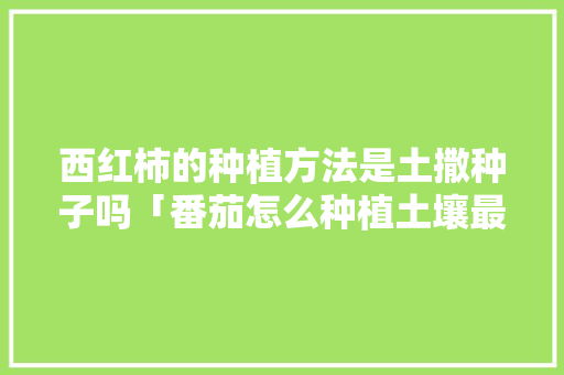 西红柿的种植方法是土撒种子吗「番茄怎么种植土壤最好」 西红柿的种植方法是土撒种子吗「番茄怎么种植土壤最好」 植物种类