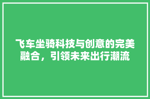 飞车坐骑科技与创意的完美融合，引领未来出行潮流