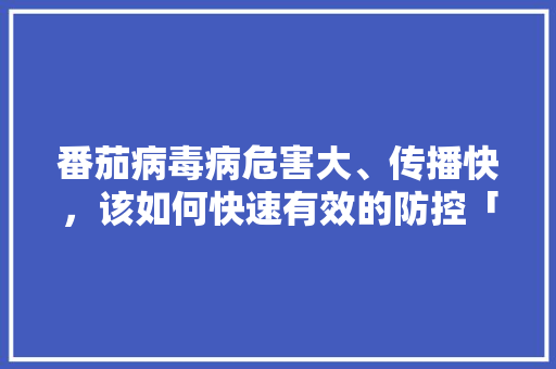 番茄病毒病危害大、传播快，该如何快速有效的防控「番茄种植怎么预防感染病毒」 番茄病毒病危害大、传播快，该如何快速有效的防控「番茄种植怎么预防感染病毒」 种植技巧