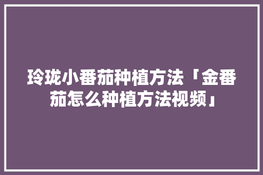 玲珑小番茄种植方法「金番茄怎么种植方法视频」 玲珑小番茄种植方法「金番茄怎么种植方法视频」 番茄病虫害防治