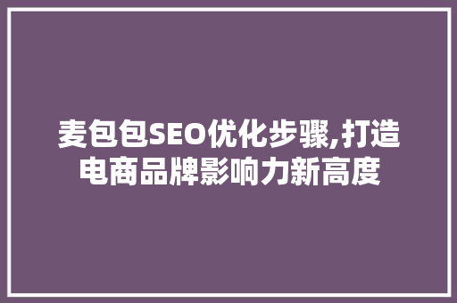 麦包包SEO优化步骤,打造电商品牌影响力新高度