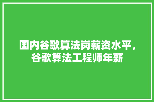 国内谷歌算法岗薪资水平，谷歌算法工程师年薪