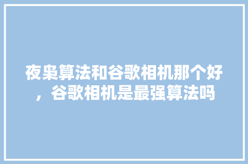 夜枭算法和谷歌相机那个好，谷歌相机是最强算法吗 土壤施肥