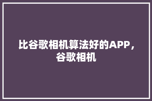 比谷歌相机算法好的APP，谷歌相机