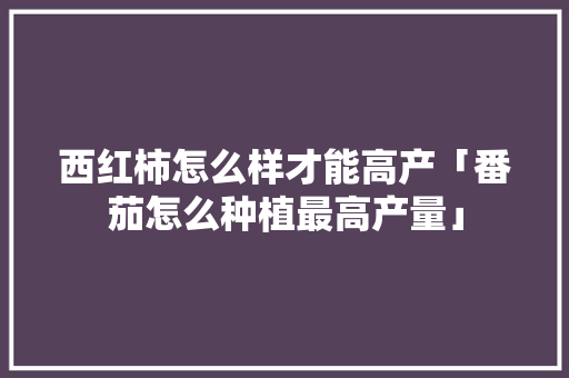 西红柿怎么样才能高产「番茄怎么种植最高产量」 西红柿怎么样才能高产「番茄怎么种植最高产量」 番茄种植技巧