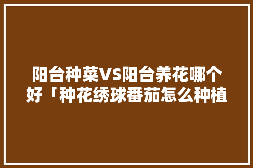阳台种菜VS阳台养花哪个好「种花绣球番茄怎么种植视频教程」 阳台种菜VS阳台养花哪个好「种花绣球番茄怎么种植视频教程」 种植技巧
