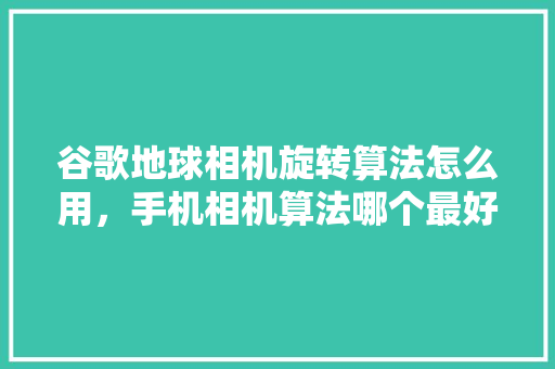 谷歌地球相机旋转算法怎么用，手机相机算法哪个最好