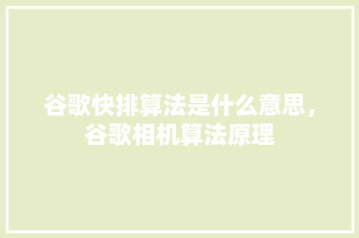 谷歌快排算法是什么意思，谷歌相机算法原理