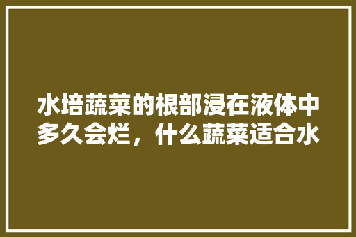 水培蔬菜的根部浸在液体中多久会烂，什么蔬菜适合水培「烂地蔬菜种植小技巧视频」 水培蔬菜的根部浸在液体中多久会烂，什么蔬菜适合水培「烂地蔬菜种植小技巧视频」 植物种类