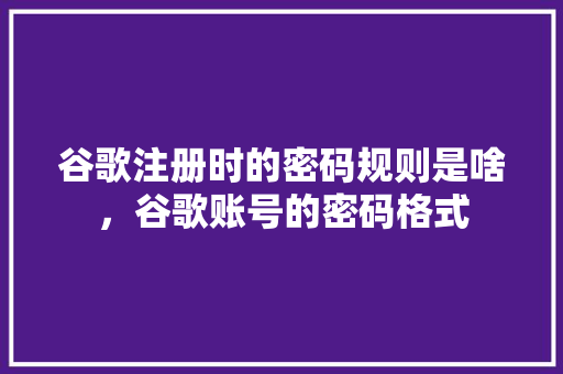 谷歌注册时的密码规则是啥，谷歌账号的密码格式
