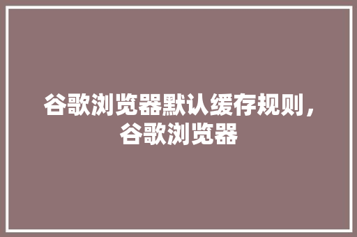 谷歌浏览器默认缓存规则，谷歌浏览器