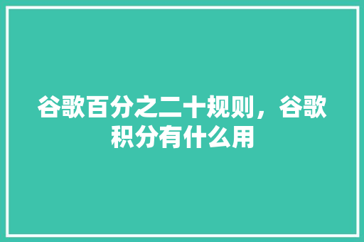 谷歌百分之二十规则，谷歌积分有什么用