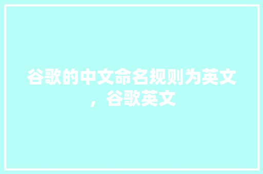谷歌的中文命名规则为英文，谷歌英文