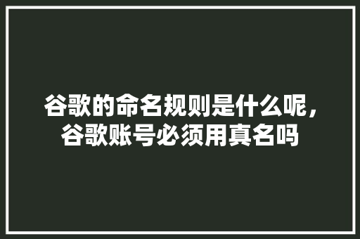 谷歌的命名规则是什么呢，谷歌账号必须用真名吗