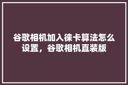 谷歌相机加入徕卡算法怎么设置，谷歌相机直装版