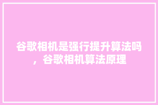 谷歌相机是强行提升算法吗,谷歌相机算法原理 种植技巧 谷歌相机是强行提升算法吗,谷歌相机算法原理 种植技巧
