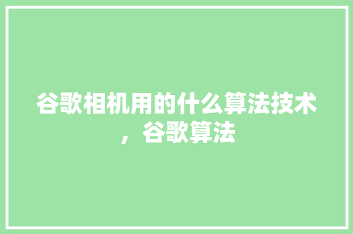 谷歌相机用的什么算法技术，谷歌算法