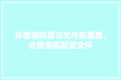 谷歌相机算法文件在哪里，谷歌相机配置文件