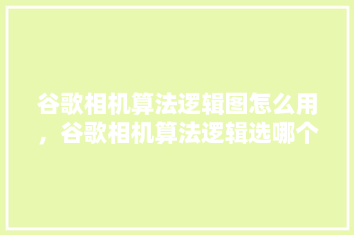 谷歌相机算法逻辑图怎么用，谷歌相机算法逻辑选哪个