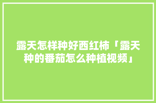 露天怎样种好西红柿「露天种的番茄怎么种植视频」 露天怎样种好西红柿「露天种的番茄怎么种植视频」 农业常识