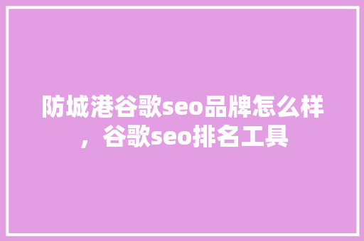 防城港谷歌seo品牌怎么样，谷歌seo排名工具