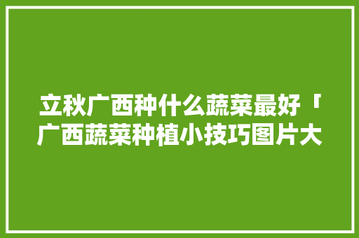 立秋广西种什么蔬菜最好「广西蔬菜种植小技巧图片大全」 立秋广西种什么蔬菜最好「广西蔬菜种植小技巧图片大全」 番茄种植技巧