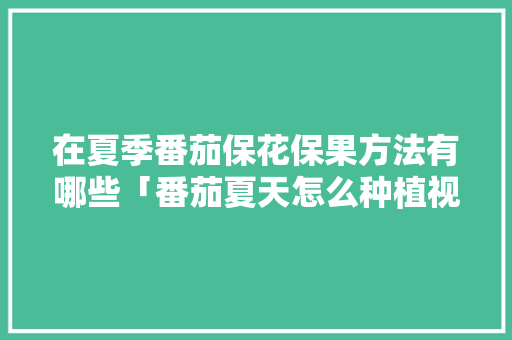 在夏季番茄保花保果方法有哪些「番茄夏天怎么种植视频」 在夏季番茄保花保果方法有哪些「番茄夏天怎么种植视频」 种植技巧