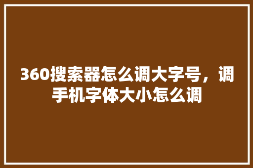 360搜索器怎么调大字号，调手机字体大小怎么调