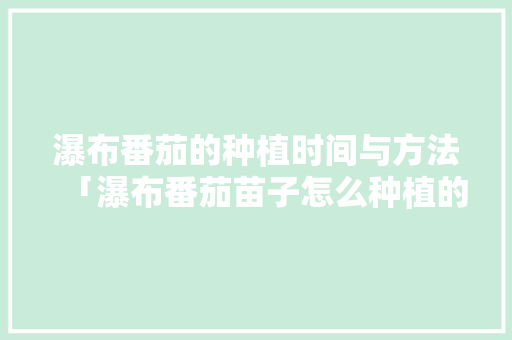 瀑布番茄的种植时间与方法「瀑布番茄苗子怎么种植的」 瀑布番茄的种植时间与方法「瀑布番茄苗子怎么种植的」 花朵知识