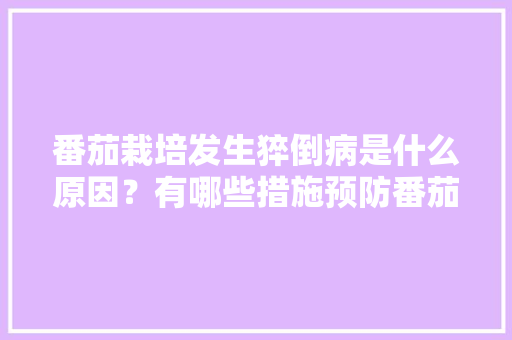 番茄栽培发生猝倒病是什么原因？有哪些措施预防番茄发生猝倒病「拉比番茄怎么种植视频」