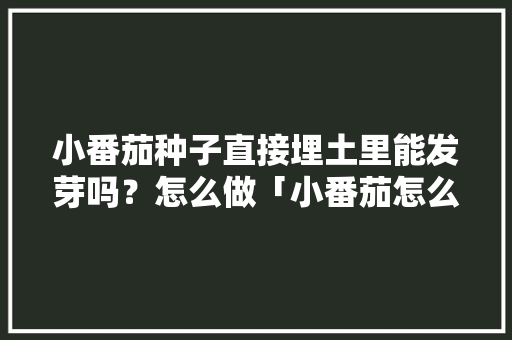 小番茄种子直接埋土里能发芽吗？怎么做「小番茄怎么发芽种植视频」 小番茄种子直接埋土里能发芽吗？怎么做「小番茄怎么发芽种植视频」 种植技巧