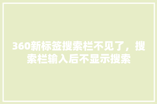 360新标签搜索栏不见了，搜索栏输入后不显示搜索