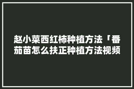 赵小菜西红柿种植方法「番茄苗怎么扶正种植方法视频」 赵小菜西红柿种植方法「番茄苗怎么扶正种植方法视频」 花朵知识