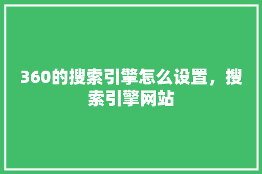 360的搜索引擎怎么设置，搜索引擎网站