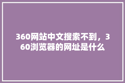 360网站中文搜索不到，360浏览器的网址是什么