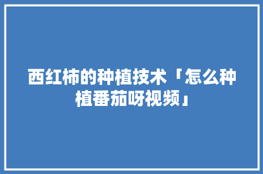 西红柿的种植技术「怎么种植番茄呀视频」 西红柿的种植技术「怎么种植番茄呀视频」 种植技巧