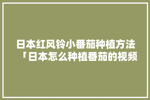 日本红风铃小番茄种植方法「日本怎么种植番茄的视频」 日本红风铃小番茄种植方法「日本怎么种植番茄的视频」 花朵知识