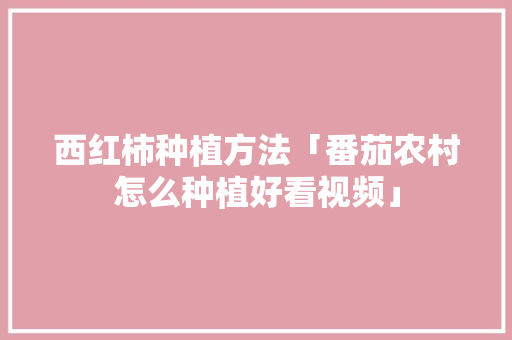 西红柿种植方法「番茄农村怎么种植好看视频」 西红柿种植方法「番茄农村怎么种植好看视频」 花朵知识