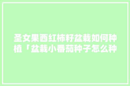 圣女果西红柿籽盆栽如何种植「盆栽小番茄种子怎么种植方法」 圣女果西红柿籽盆栽如何种植「盆栽小番茄种子怎么种植方法」 农业常识
