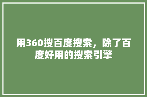 用360搜百度搜索，除了百度好用的搜索引擎 种植技巧