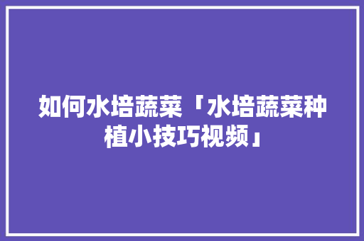 如何水培蔬菜「水培蔬菜种植小技巧视频」 如何水培蔬菜「水培蔬菜种植小技巧视频」 番茄病虫害防治