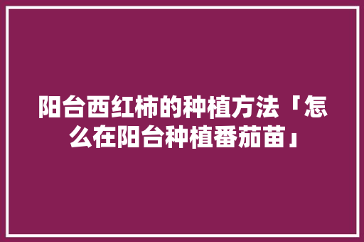 阳台西红柿的种植方法「怎么在阳台种植番茄苗」 阳台西红柿的种植方法「怎么在阳台种植番茄苗」 番茄病虫害防治