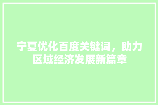 宁夏优化百度关键词，助力区域经济发展新篇章